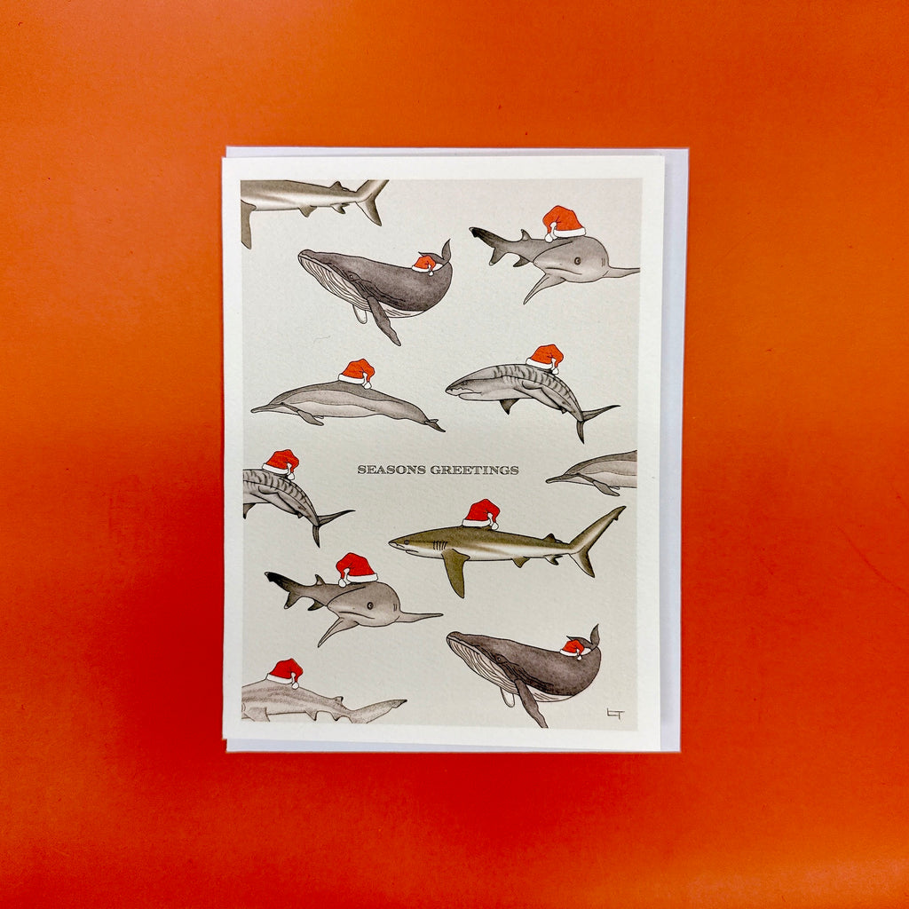 Holiday Greeting Cards by LAUREN TRANGMAR