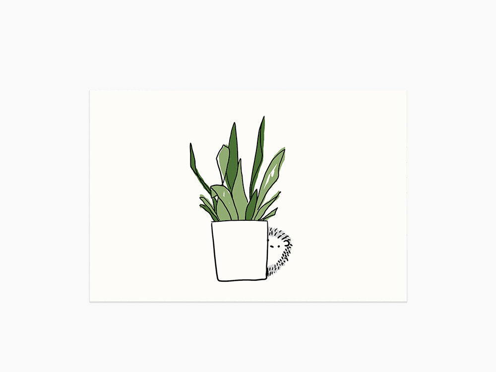Eleanor Postcards