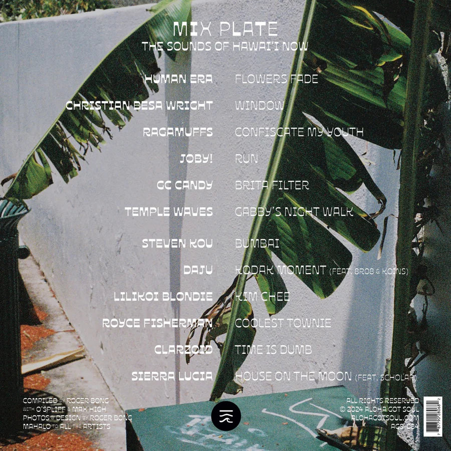 Various Artists - Mix Plate (LP)