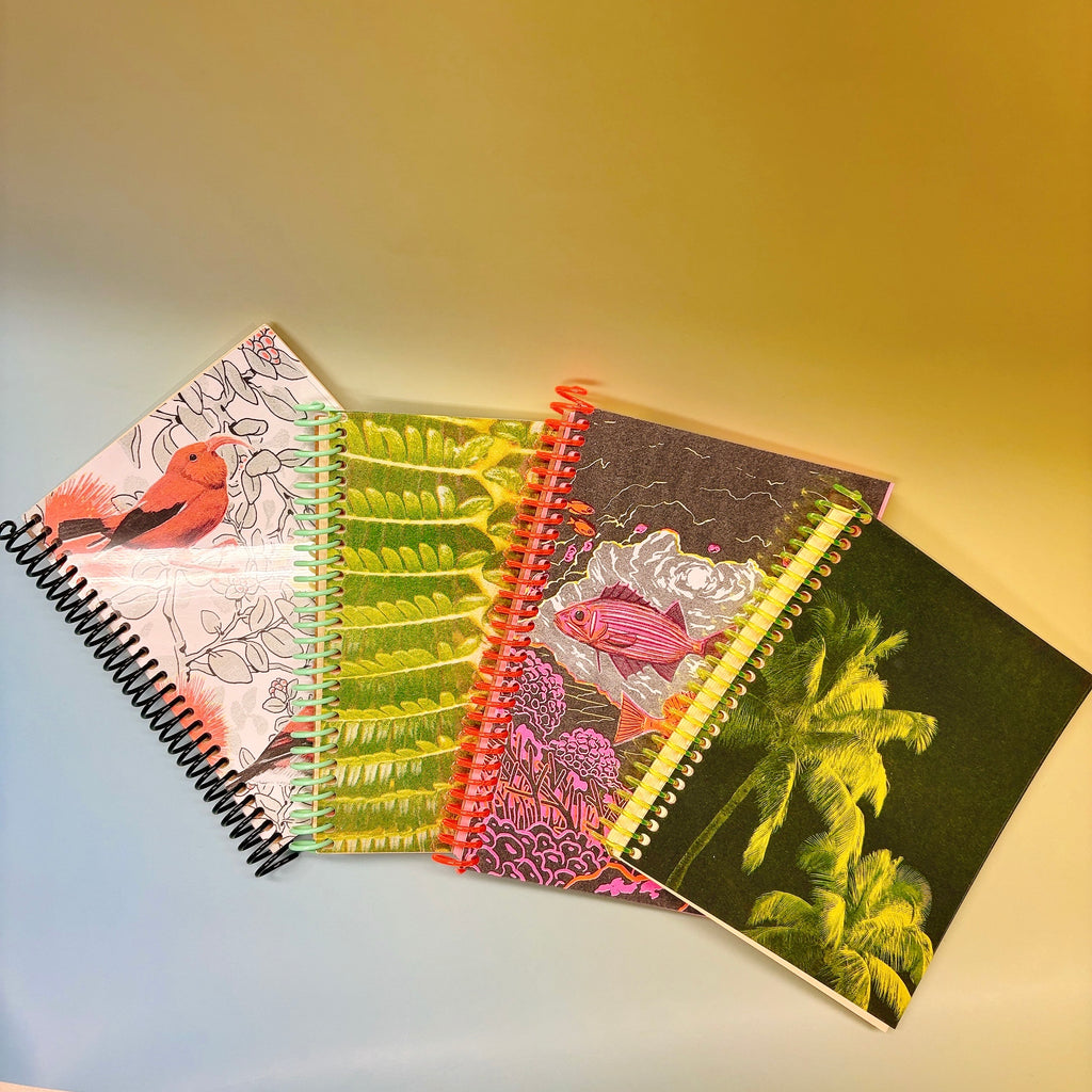 Small Notebooks by PENCIL URCHIN PRESS