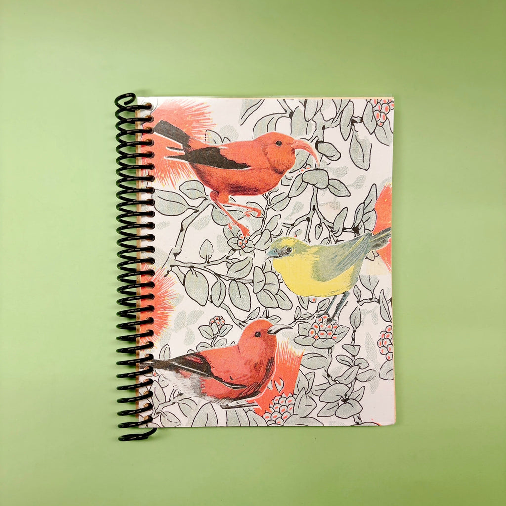 Small Notebooks by PENCIL URCHIN PRESS