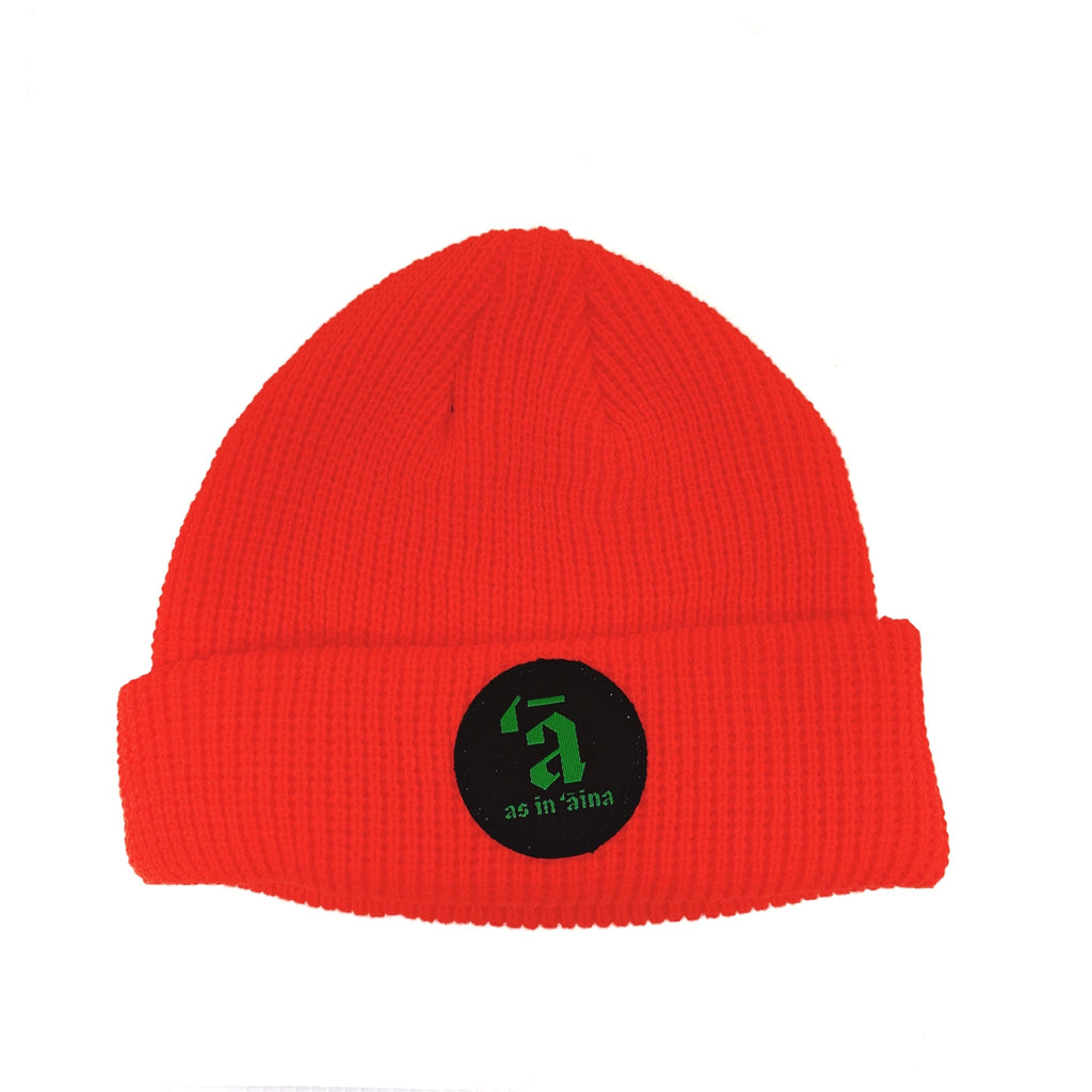 Short Roll Knit Beanie by CJ DUNN