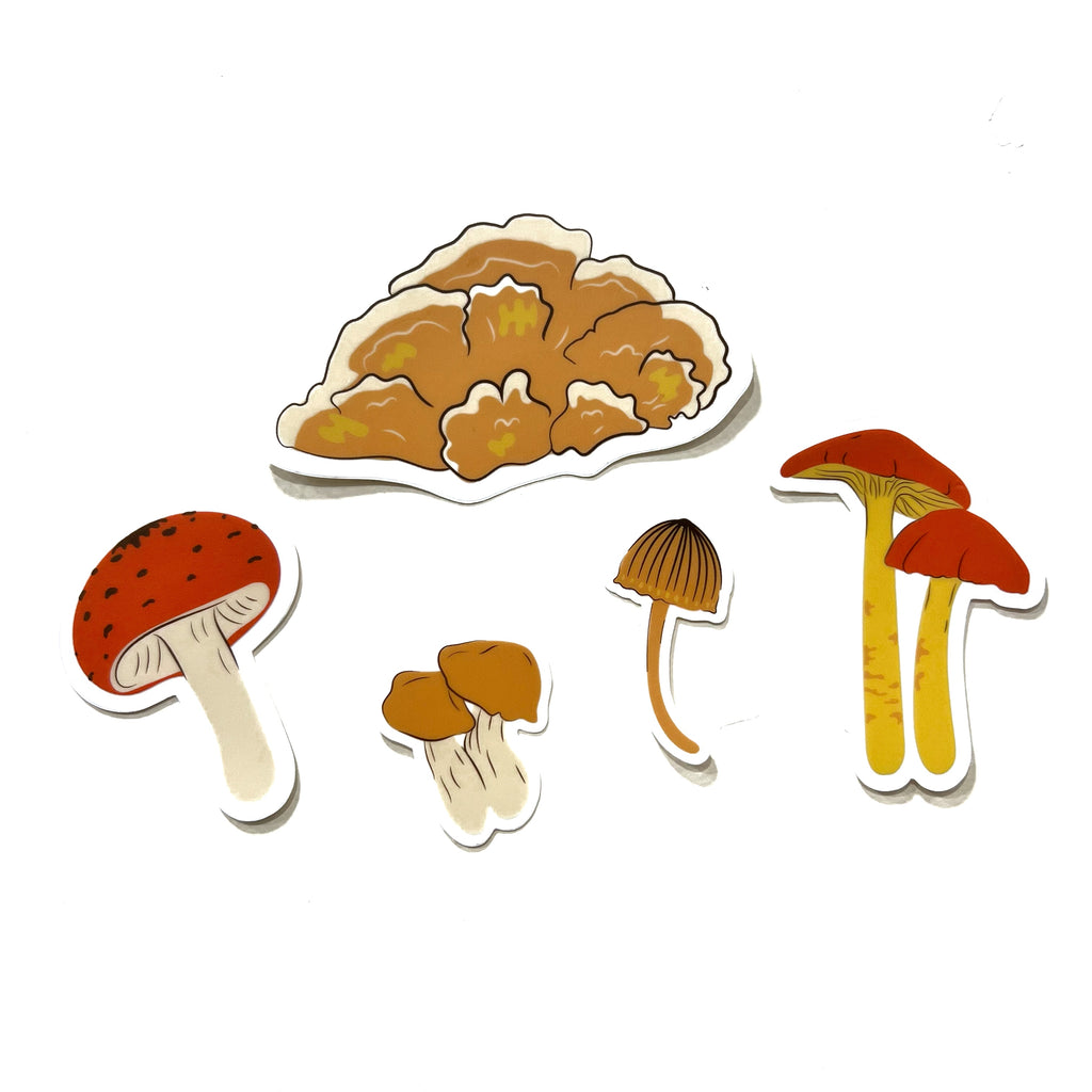 Hawaiian Mushrooms Clear Vinyl Sticker Set