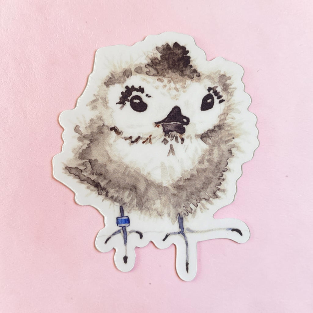 Fundraiser Stickers: HUI MANU-O-KŪ