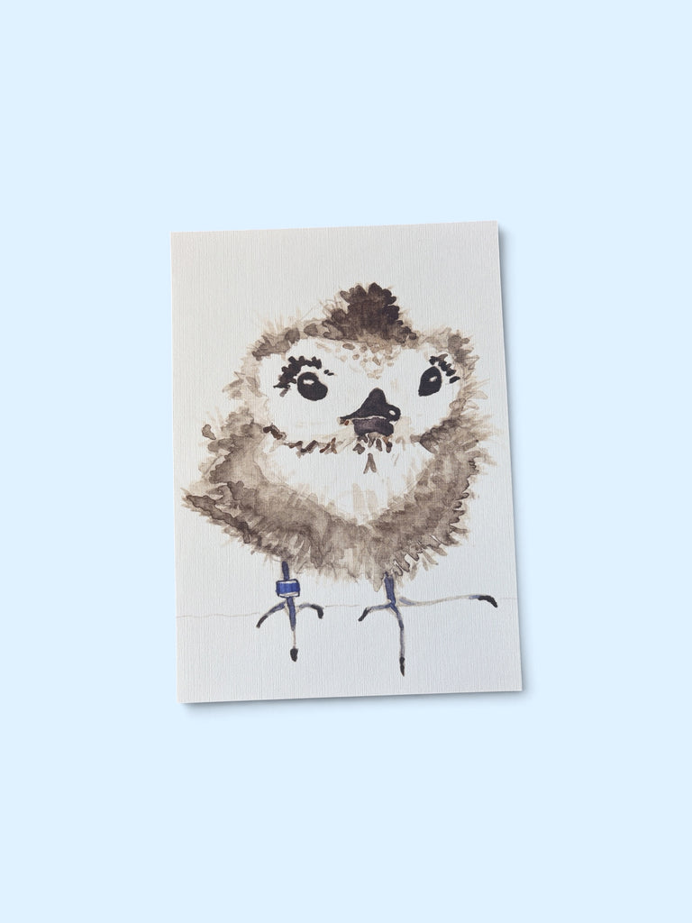Fundraiser Prints: HUI MANU-O-KŪ