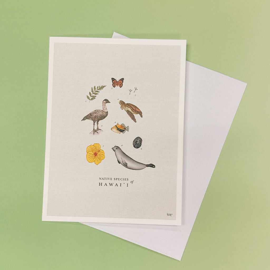 Greeting Cards by LAUREN TRANGMAR