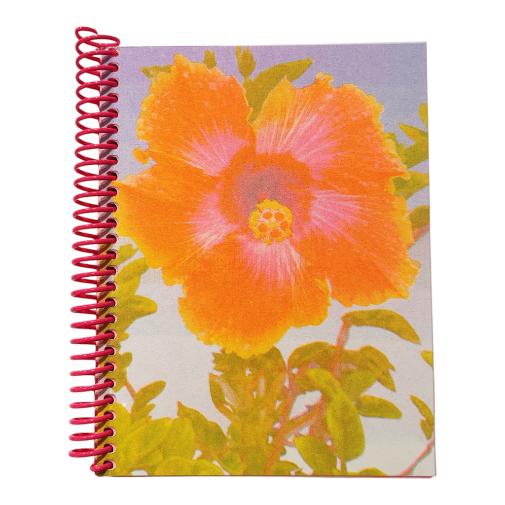 Small Notebooks by PENCIL URCHIN PRESS