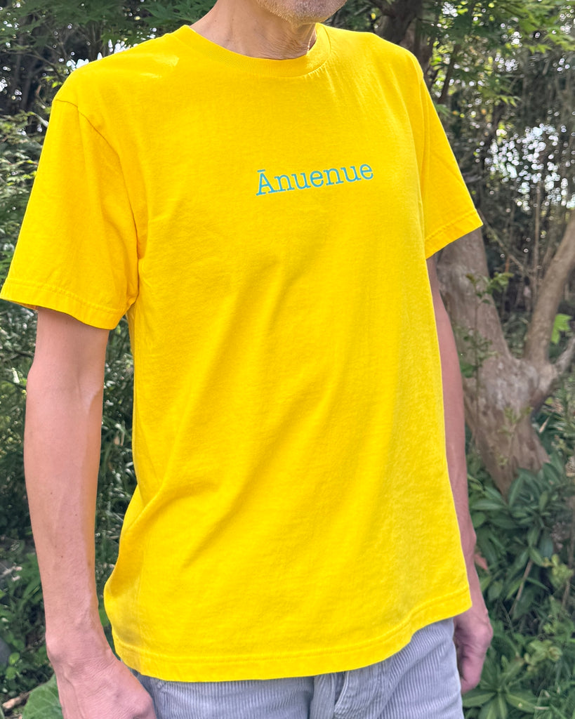Ānuenue T-shirt by PLUS ALOHA