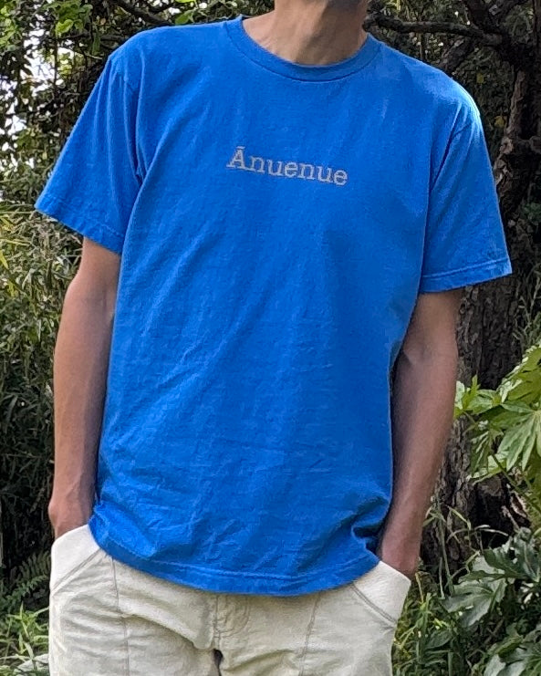 Ānuenue T-shirt by PLUS ALOHA
