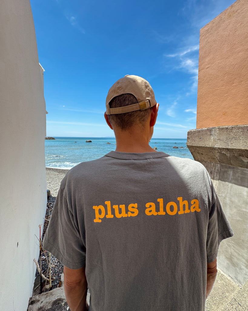 #05 NO RAIN NO RAINBOW T-shirt by PLUS ALOHA
