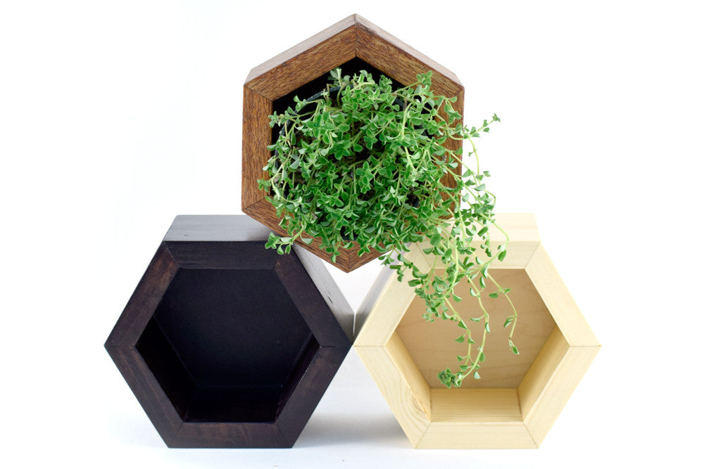 Wooden Hexagon Storage Compartment