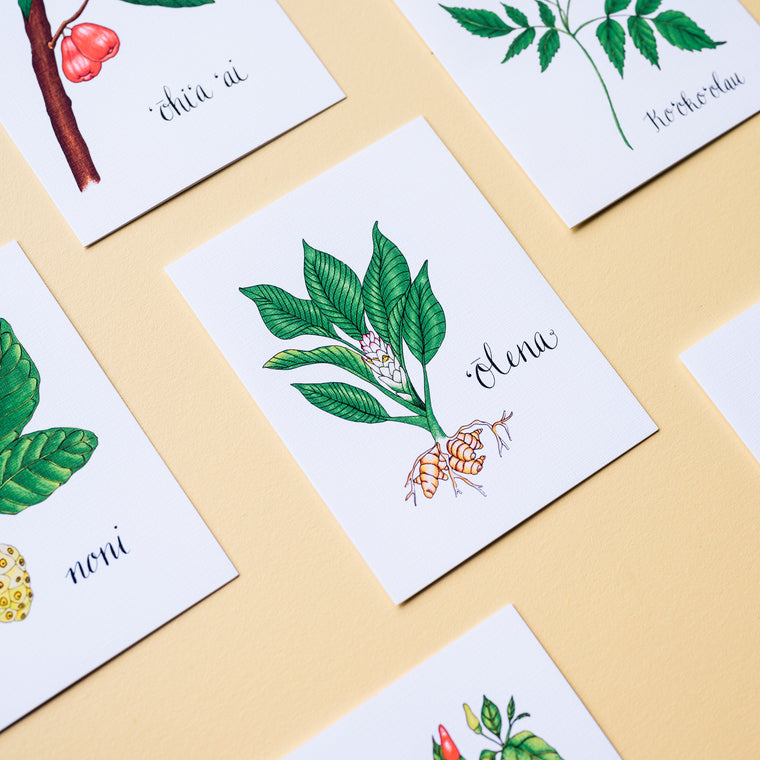 La'au Lapa'au Medicinal Plant Card Set