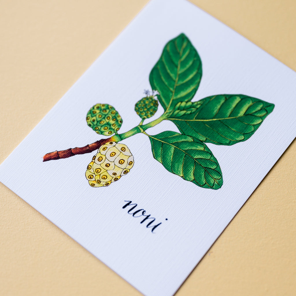 La'au Lapa'au Medicinal Plant Card Set