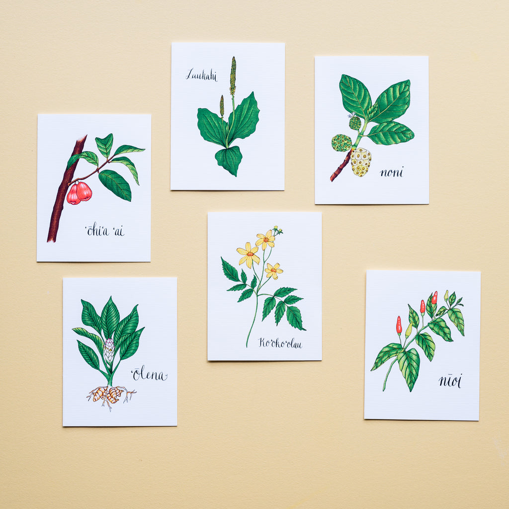 La'au Lapa'au Medicinal Plant Card Set