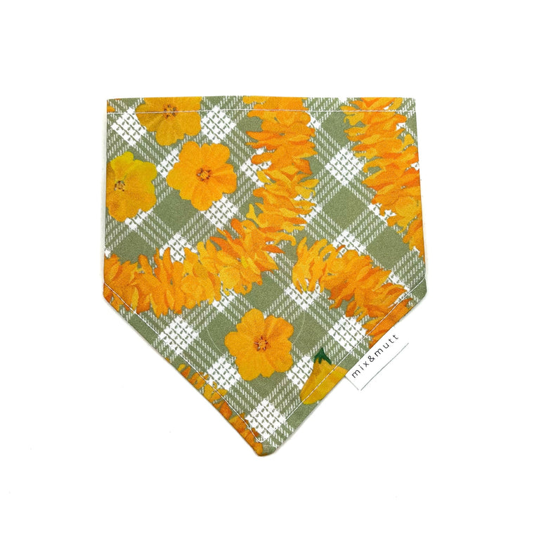 Orange Lei Bandanas by MIX & MUTT